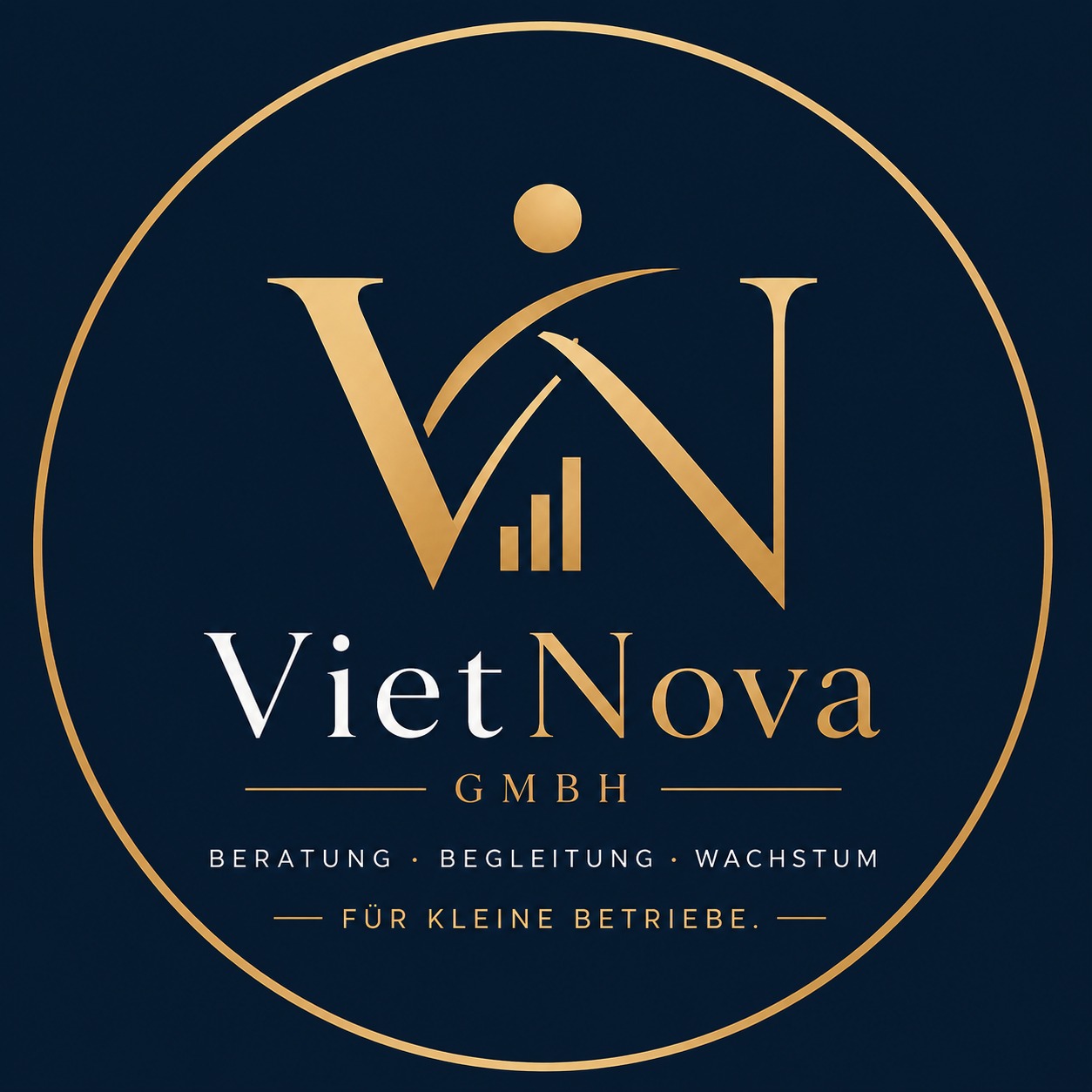 VietNova GmbH Logo